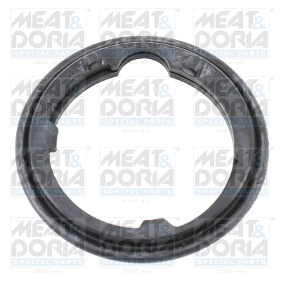 Seal, thermostat